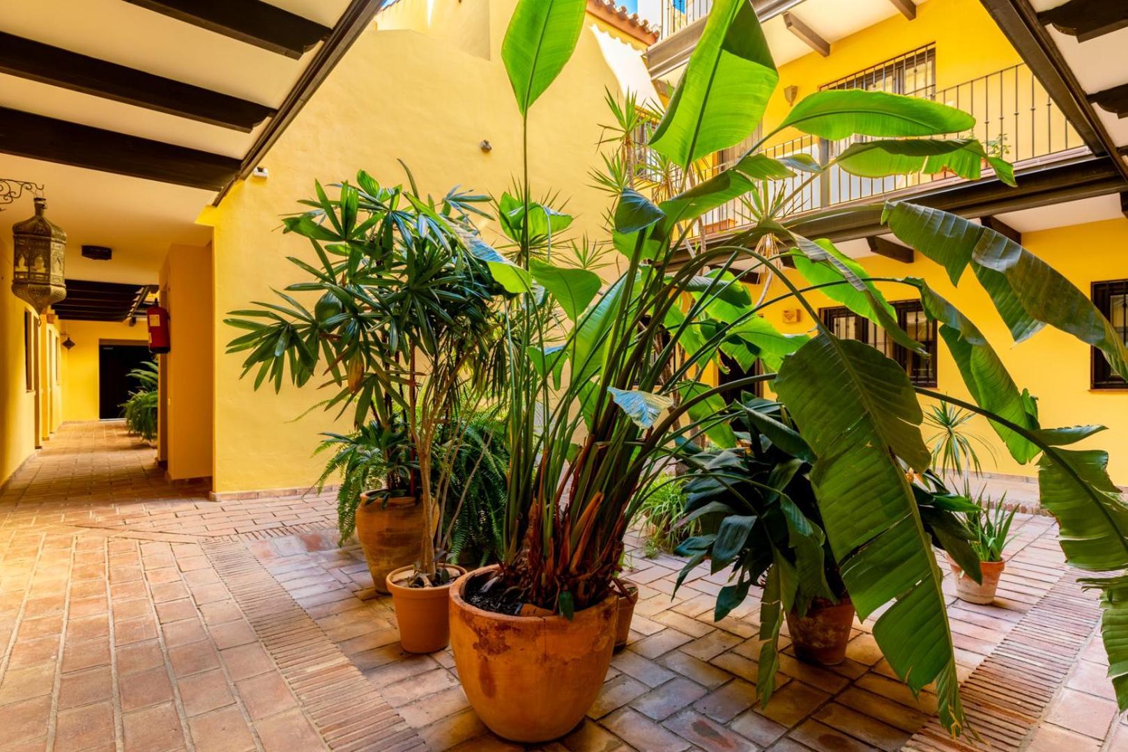 Loft En El Corral Del Horno Διαμέρισμα Σεβίλλη Εξωτερικό φωτογραφία